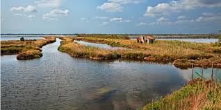 #pianoambientale del parco naturale regionale #deltadelpo all’esame della SecondaCommissione consiliare
#RegioneVeneto bit.ly/2I7VeOO