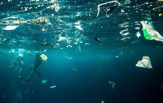 SurfriderMA tweet media