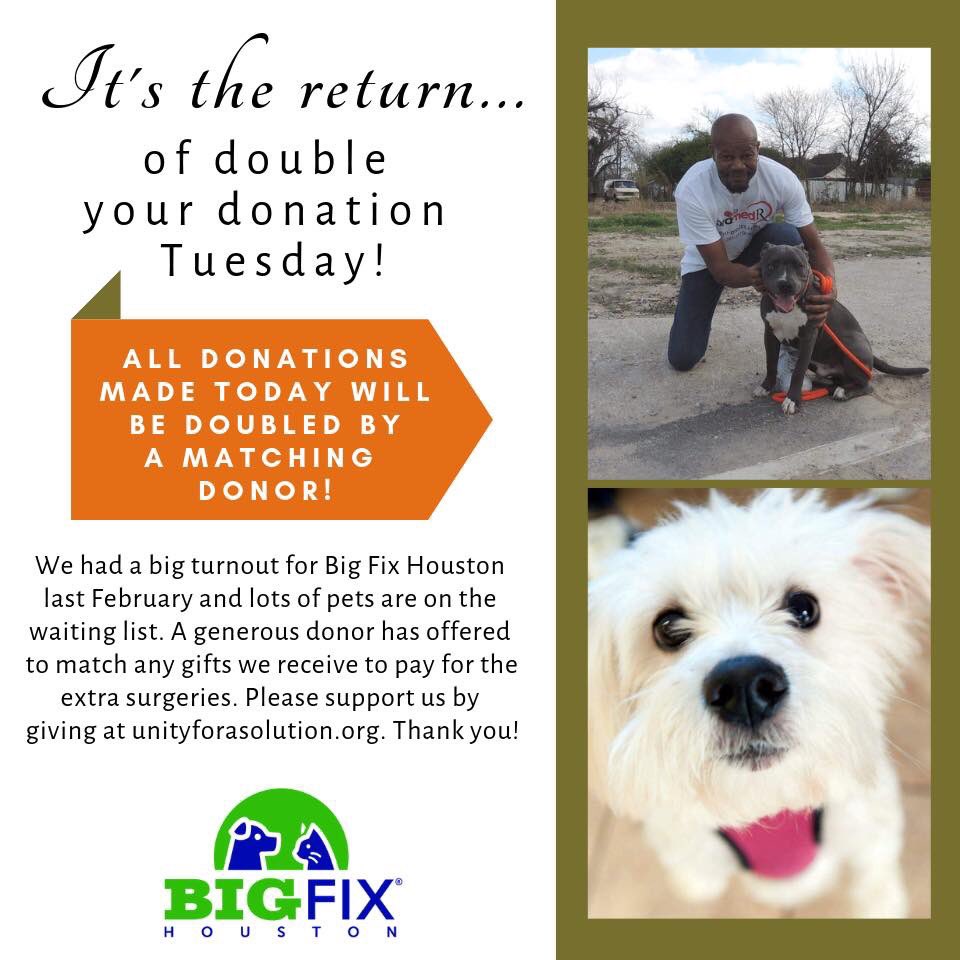 Please RT: We had a huge turnout at <a href="/BigFixHouston/">Big Fix Houston 🐾</a> 2019 &amp; we want every pet on our waitlist to get the services they desperately need. 
You donation will be doubled today! 
<a href="/MadekshoLaw/">Madeksho Law Firm | Asbestos Lawyers</a> is matching all donations made today up to $5,000!  unityforasolution.org/donate.html
#bigfixhouston