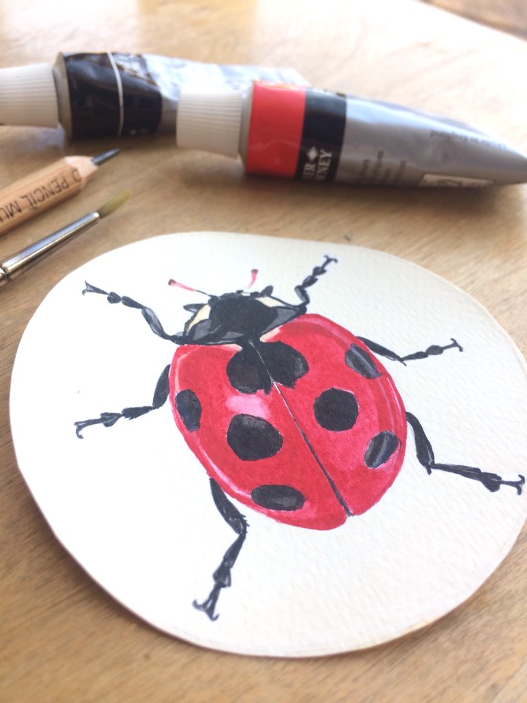 magicbutton77's tweet image. These sweet illustrated #ladybird magnets are now in my #Etsyshop MagicButtonDesign.etsy.com         #independentmaker #fridgemagnets #natureloversgift #etsystore #buyindie #illustration #britcraft