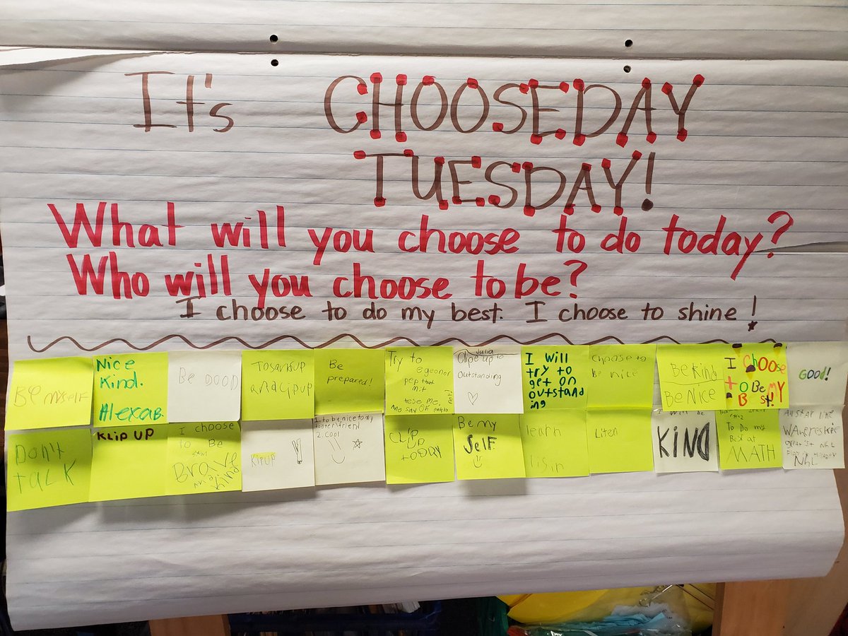 Shellsde tweet media