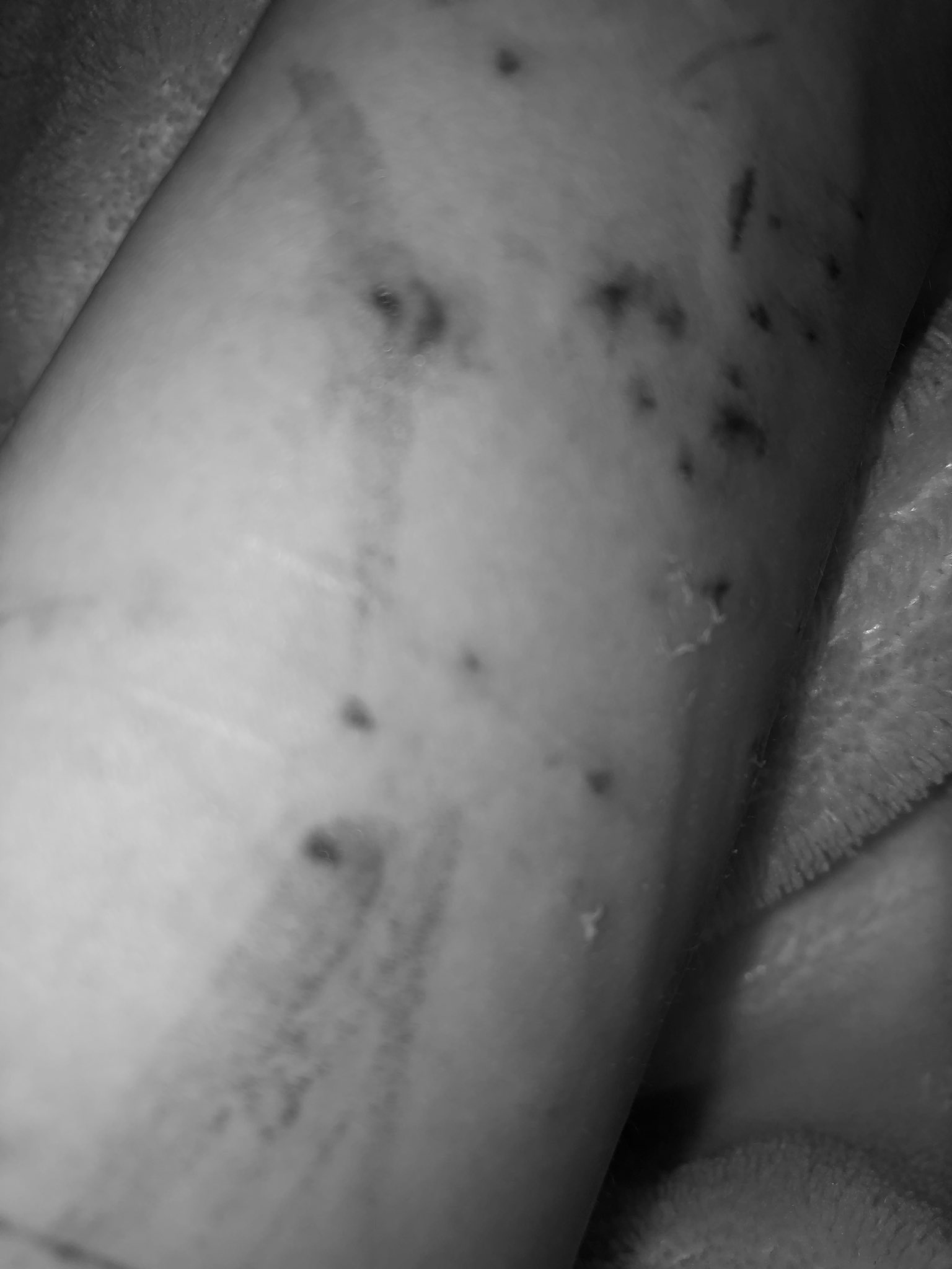 うに 18 親に整形を徐々に説得できてたのに 整形いつできるんだろうっていう不安が急に爆発して 親を怒らせてしまった どうしよう しぬ いつかわいくなれるの ブスつらい人生難しすぎしねしぬしぬ それで頭がいっぱいになった ᵕ ㅅᵕ うに 18 親に整形を徐々に説得できてたのに 整形いつできるんだろうっていう不安が急に爆発して 親を怒らせてしまった どうしよう しぬ いつかわいくなれるの ブスつらい人生難しすぎしねしぬしぬ それで頭がいっぱいになった ᵕ ㅅᵕ
