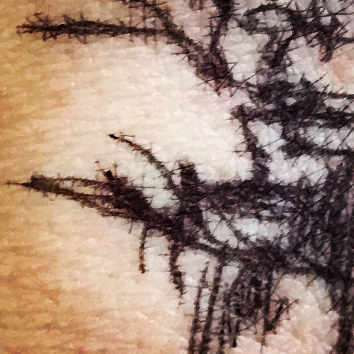LizAtkin's tweet photo. Tiny skin drawings #texturehuntergatherer #skingrooves #cracked #skinart #texture #textures #accidentalart #grime #dailytexture #london #decay #SkinPicking #debris #layers #ink #tattoo #markmaking #noticed https://t.co/vPWjrCd9Fl