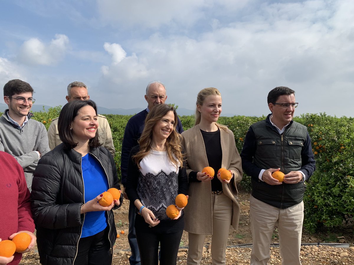 El sector del cítrico es pilar de la economía de Lora del Río. Hoy estoy trasladándoles a los agricultores sobre el terreno la petición del <a href="/populares/">life</a> a la <a href="/EU_Commission/">European Commission</a> para activar cláusula de salvaguarda para proteger la naranja🍊española de las importaciones de Sudáfrica.