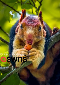 View image on Twitter