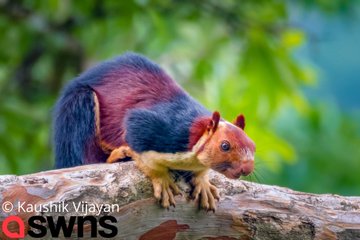 View image on Twitter