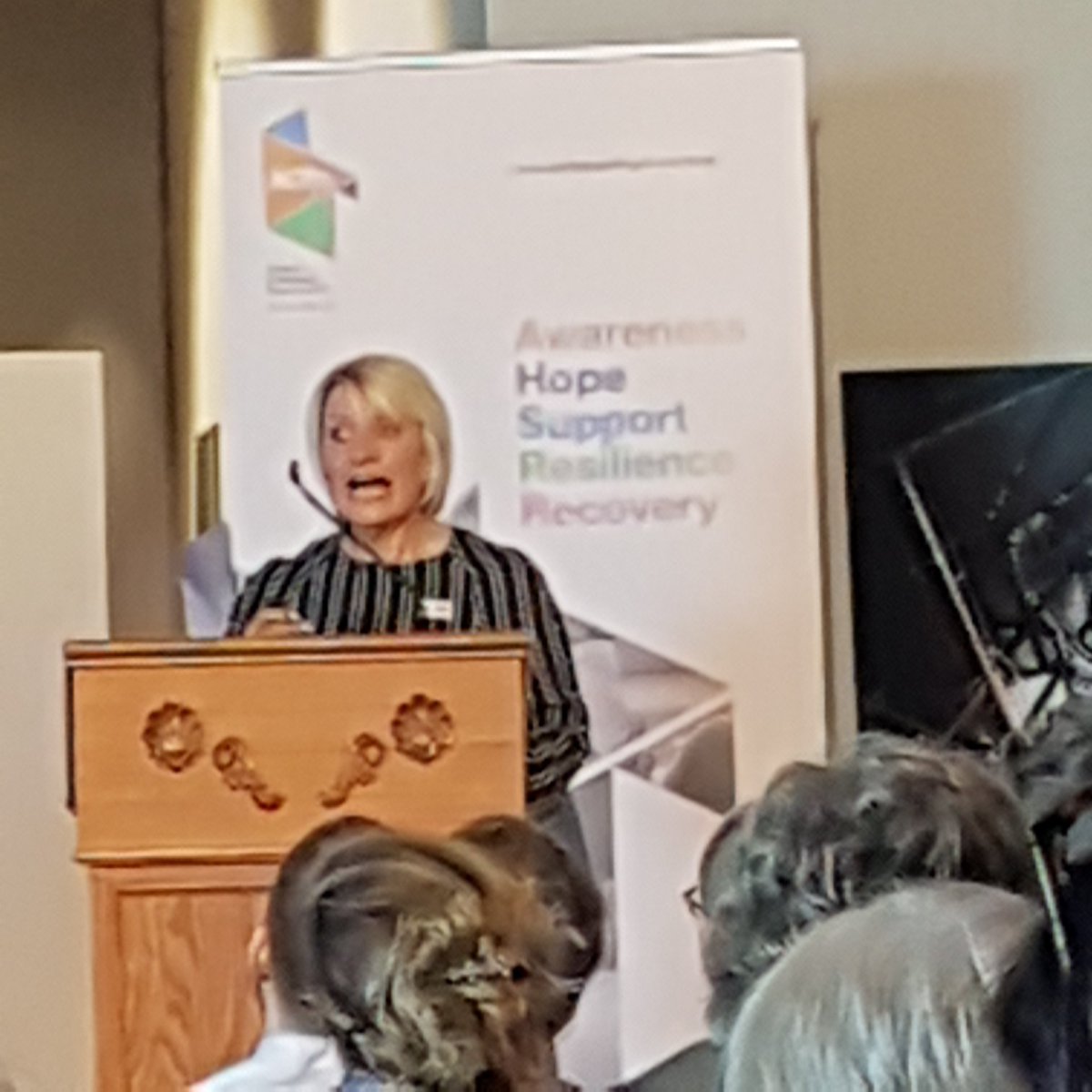 ann_mcduff's tweet image. #westerntrust # BetheChange19 Helen McKenzie SBNI reminds us how important this work is