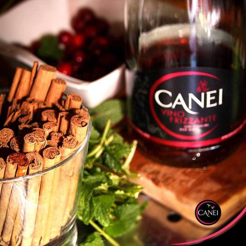 caneispain's tweet photo. ¿Sabías que nuestros vinos frizzantes #Canei no sólo se pueden tomar solos? 
Canela, arándanos, grosellas, menta... ¿A qué esperas para experimentar en el mundo de los cócteles con ellos?

#wine #vino #frizzante #winelovers https://t.co/ew0T9dbSqm