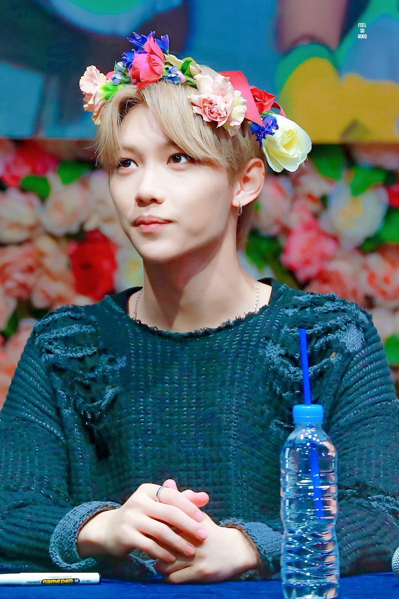 felixarchived's tweet photo. ethereal 🌷 https://t.co/xYK7F81aD5