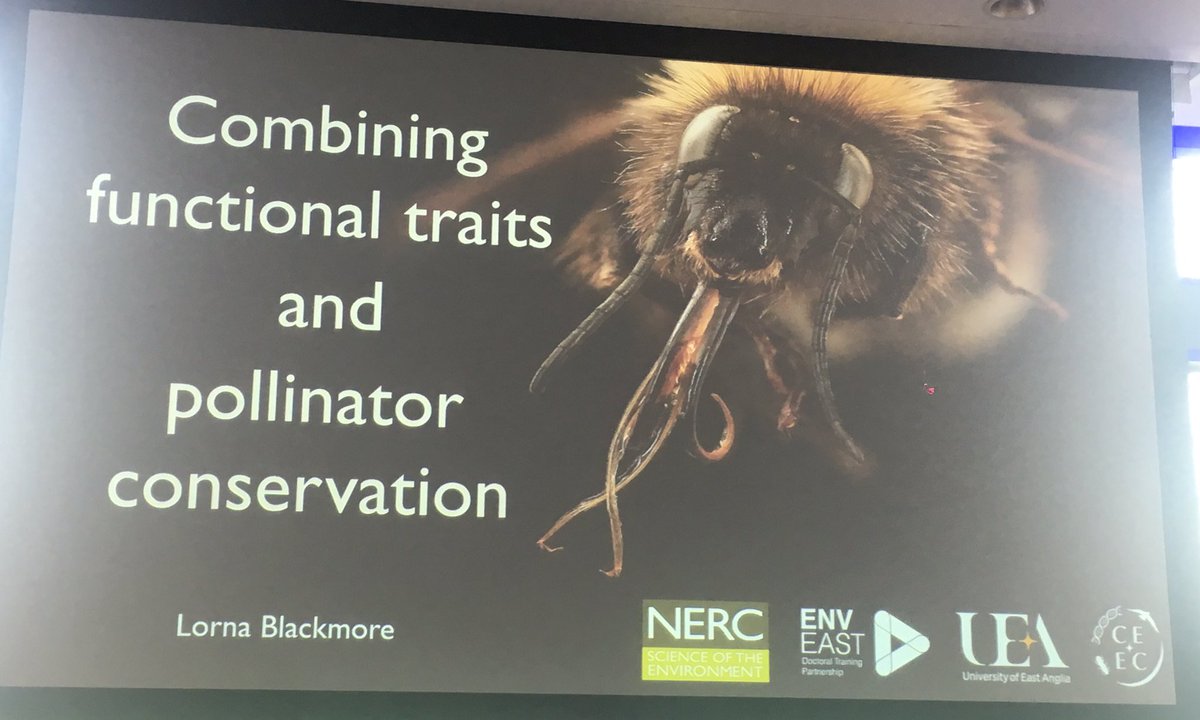 EnvEast's tweet photo. It’s time for @Sundrop_moth to take the stage here at #CEEDA2019 to talk about her research investigating pollinator conservation. @biouea @uniofeastanglia @NERCscience @CambridgeESS https://t.co/GCiizrh6Nq