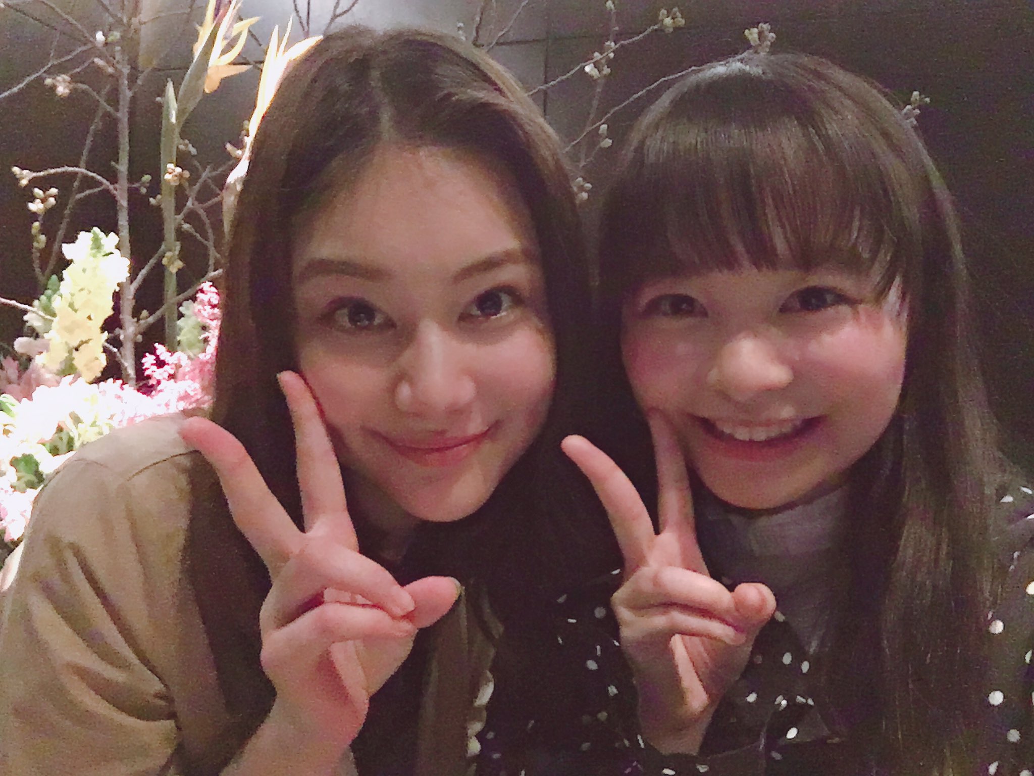 山田陶子 Twitter Search Twitter