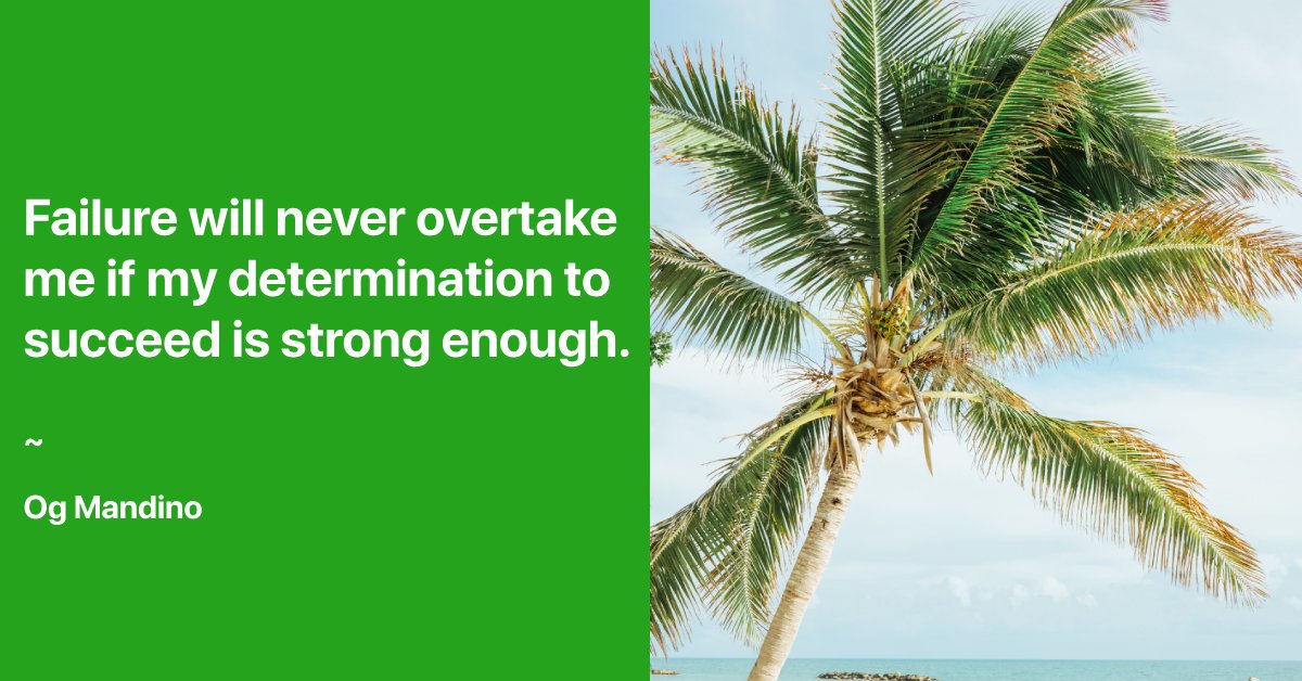 HelloMindApp's tweet image. Wake up. Go to the mirror. Repeat these lines. Get #motivated. 
#TuesdayThoughts #TuedayMotivation #Quotes #quotesdaily @mindbodygreen @MyInspowerQuote @GreatestQuotes