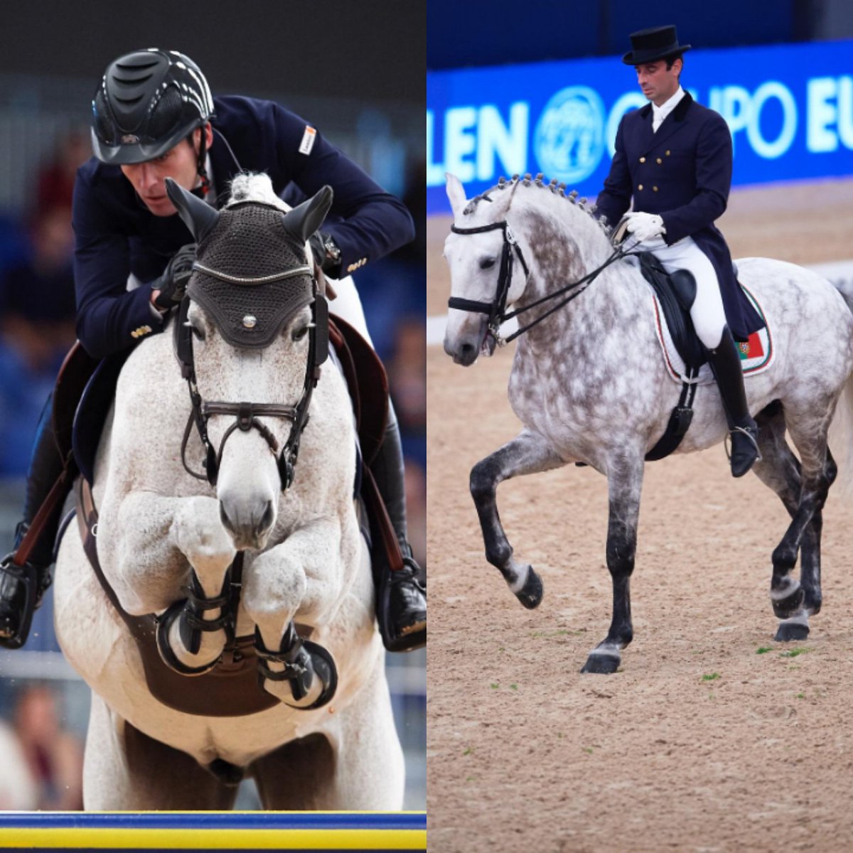 MadridHorseWeek's tweet photo. Listado de jinetes participantes de las Finales de las Copas del Mundo de Salto y Doma Clásica, los podrás ver en nuestra web https://t.co/iflXStiSIP Suerte a todos los participantes!! 🏇🏇 #feiworldcupfinals #feiworldcup #fei #dressage #jumpingcompetition #horses #showjumping https://t.co/L0FIxNUGlh