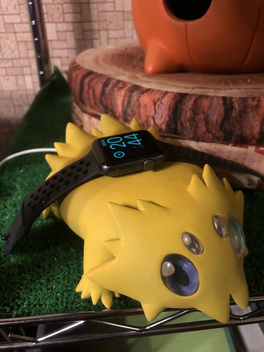 "#ポケモンのいる生活" - Results on X | Live Posts & Updates