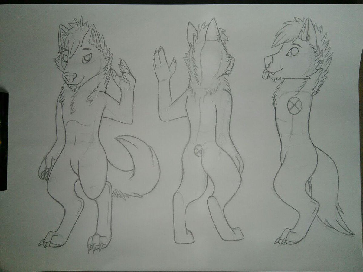 #wolf. #anthro. #furry. #furryfandom. #reference. pic.twitter.com/1Znfars91...