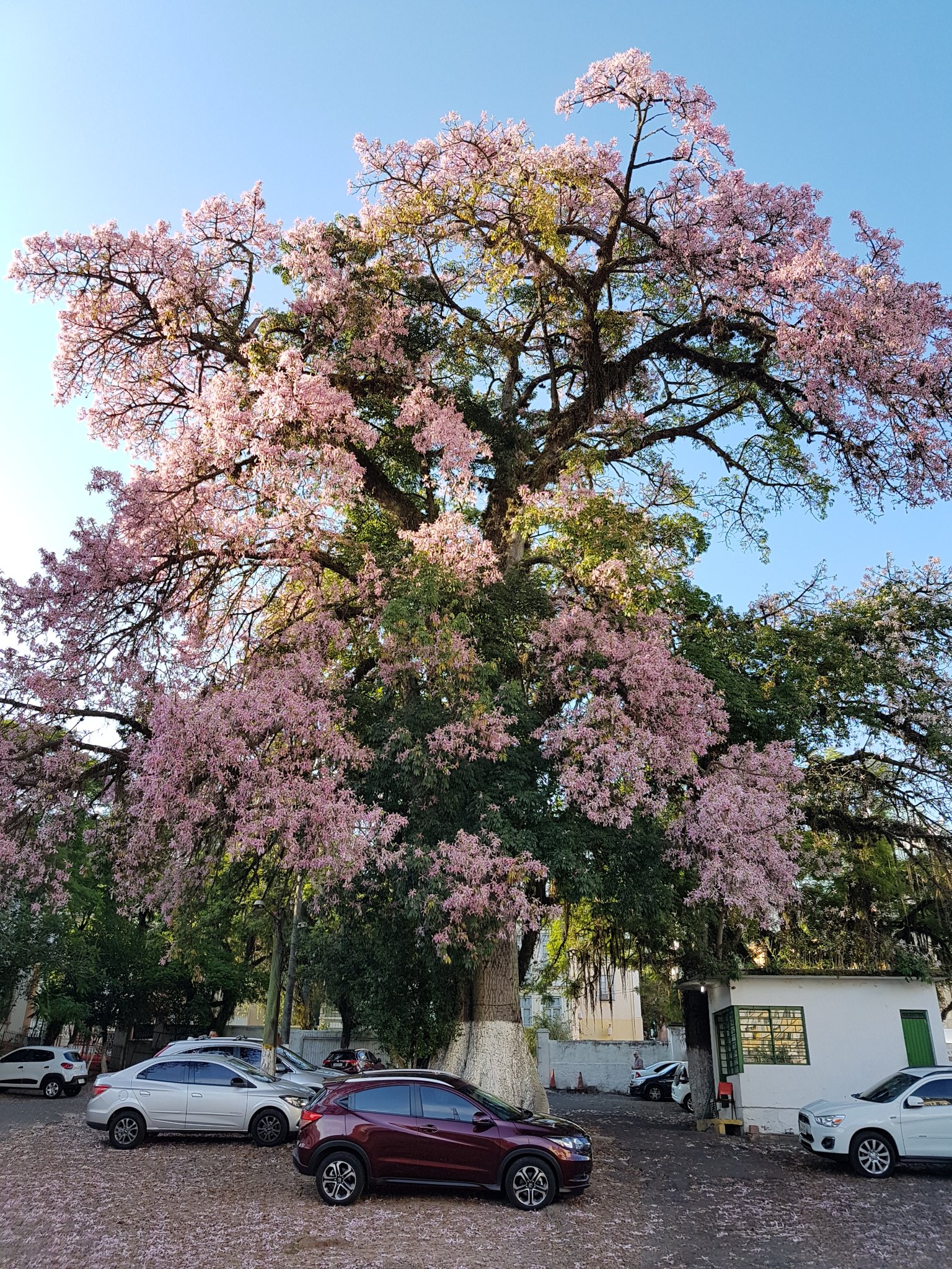 D3JVNGmWAAAztcq.jpg:large