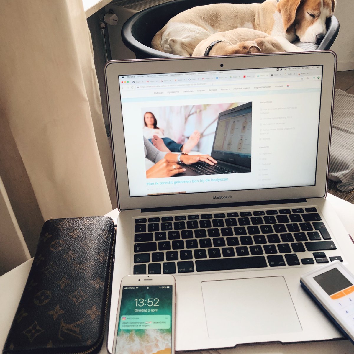 Scan4LifeNL's tweet photo. //KANTOOR// Mijn kantoor vanmiddag. In het uiterste linkerhoekje van de bank met een hardsnurkende beagle tegenover me. Vanmorgen in de praktijk behandeld en nu weer vol inspiratie aan nieuwe dingen werken!

#scan4life #bodyscan #holistisch #gezondheid https://t.co/JdONvlUIPX