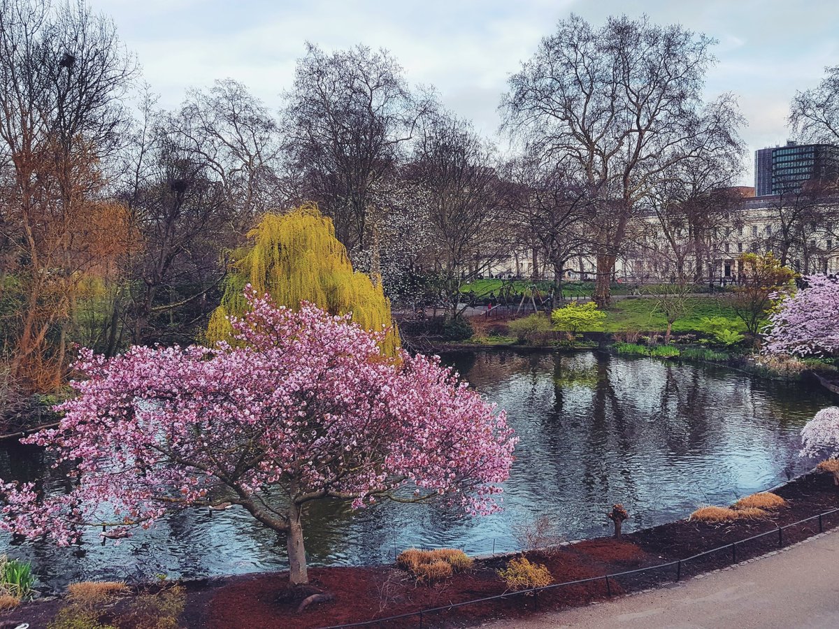 St James' Park, London, England, 2019