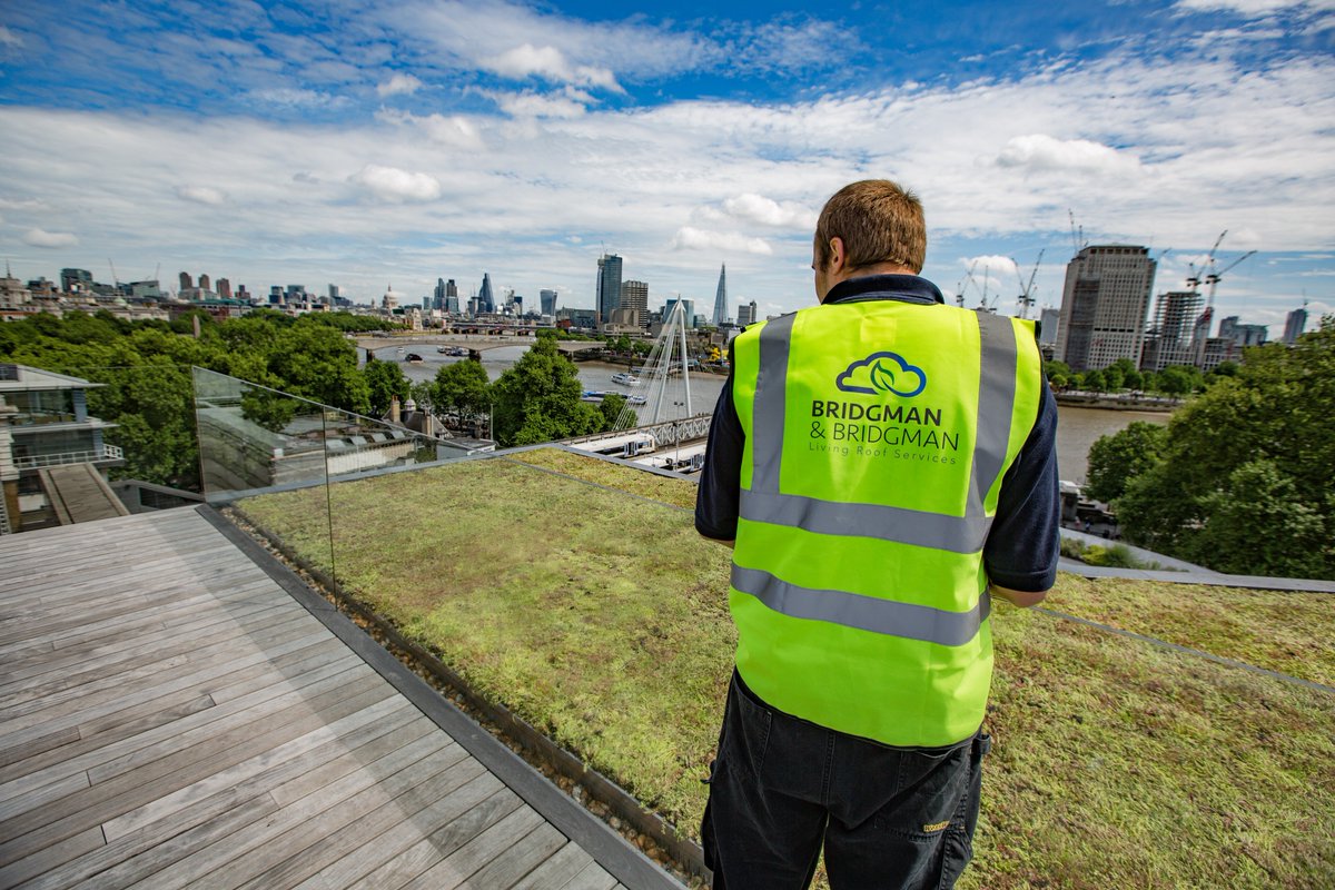 We are well into our #springmaintenance rounds now. Have you got a #greenroof that requires a revamp?
Contact us now for a quote. #Greenroofs #roofing bridgmanlandscapes.co.uk