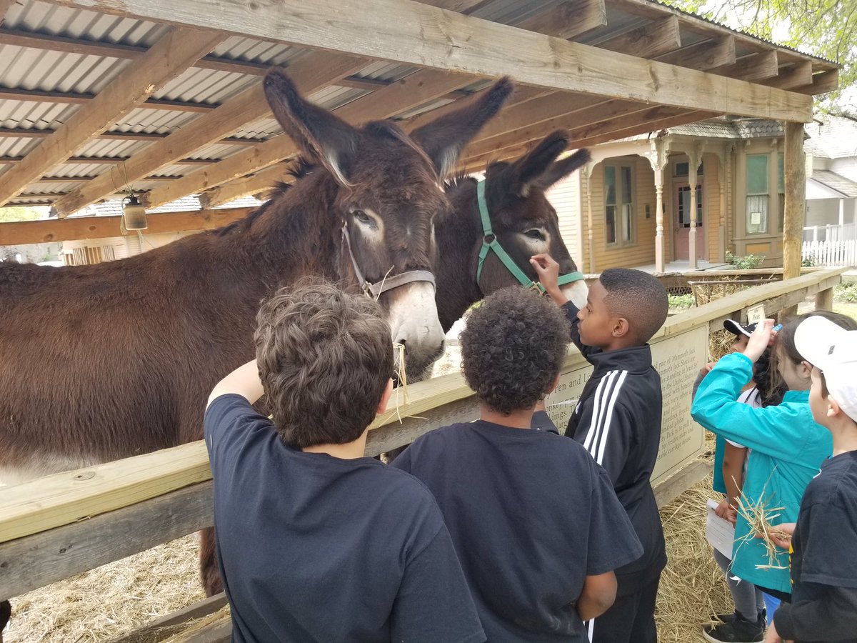 msLthirdgrade's tweet photo. Third grade had so much fun experiencing the pioneer life at Dallas Heritage Village! @StrongBobcats #pisdlearns https://t.co/BlDyhGxnQv