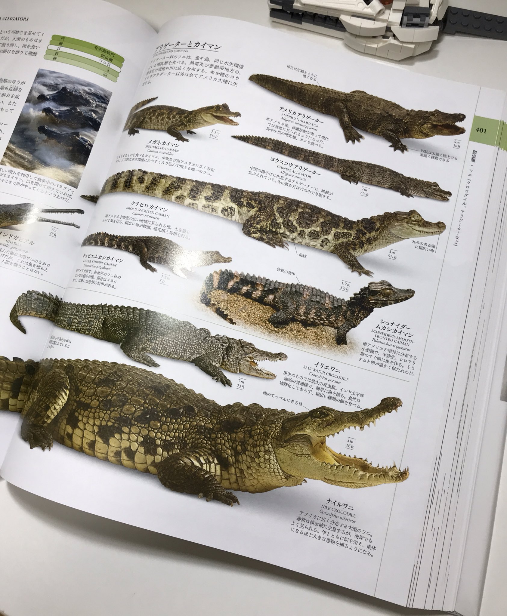 にかいどう 機械生物図鑑 不要な情報を削ぎ落とし 面の流れを整えてやると だいぶワニらしくなった レゴ Lego T Co Ntoioqagxn Twitter