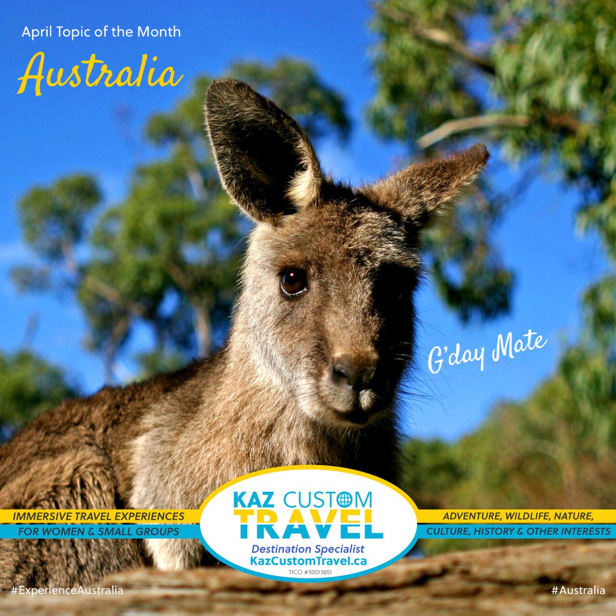 Last month I became an Aussie Specialist.
So this month my posts will be about the land down under.  What’s the first thing that springs to mind when you hear the word Australia? #australia #aussiespecialist #landdownunder #theresnoplacelikeaustralia #experienceaustralia