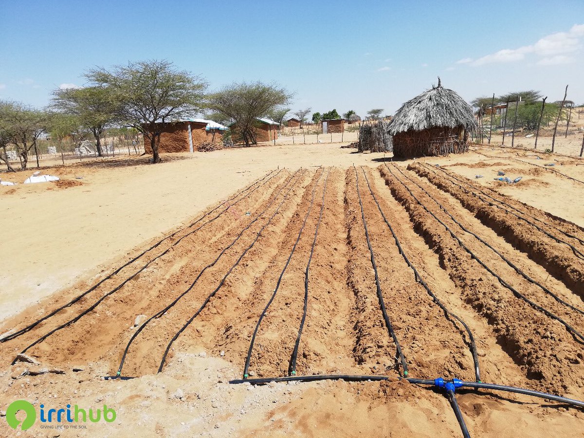 IrriHub's tweet photo. We support action to combat #ClimateChange. We have always campaigned for a proactive approach to facilitating use of drip irrigation for farmers.

Our irrigation solutions help save energy, water &amp; fertilizers, reducing the resource burden on the planet while increasing yields. https://t.co/rzHBUPChHZ