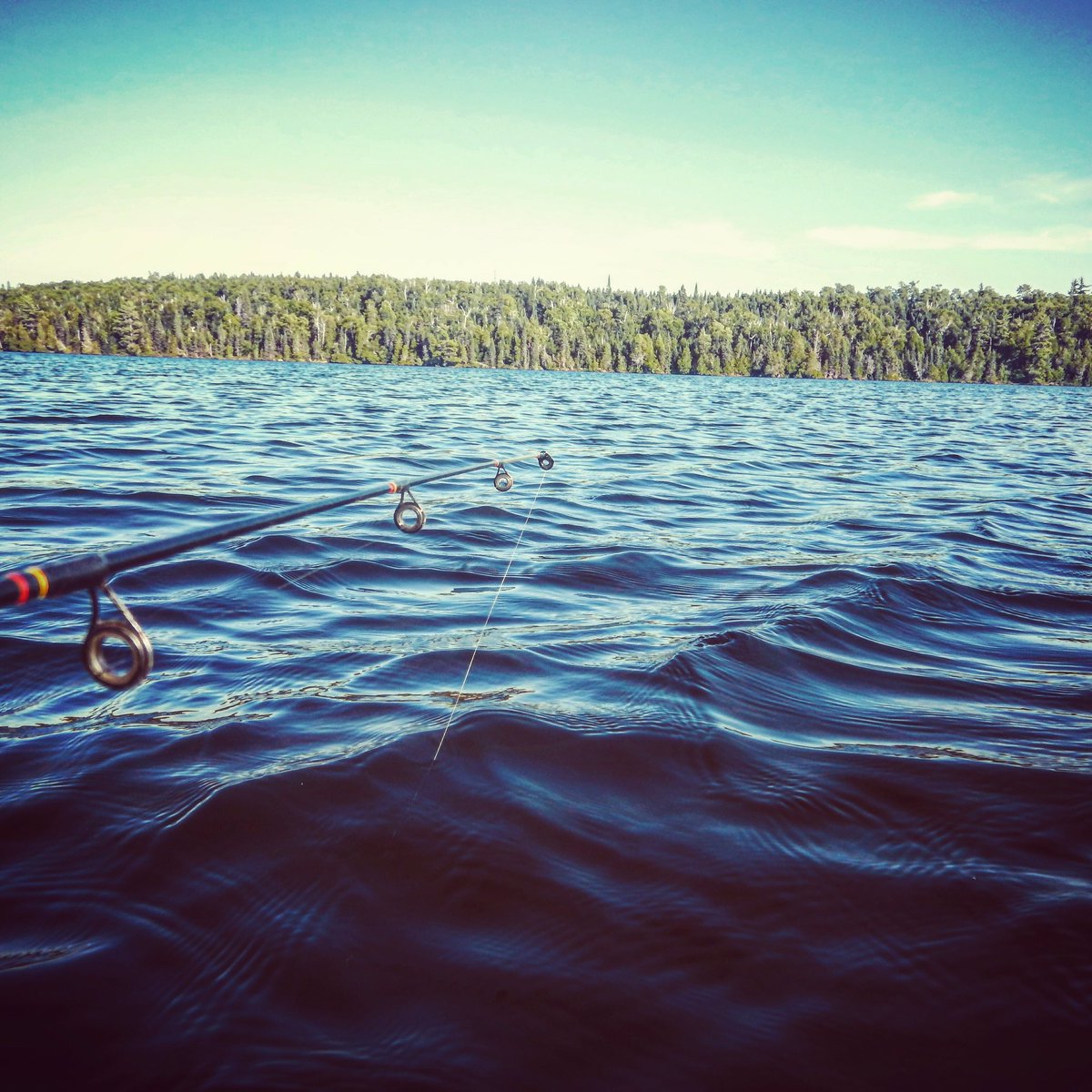 Who’s ready for some warm weather open water fishing? #fish #fishing #takeitoutfoors #north #backwoods #backcountry #canoe #portaging #bwca #walleye #walleyefishing #northlandtackle #kbsfsh #kbs #kickbackshack #openwater #pike #bass #outdoors