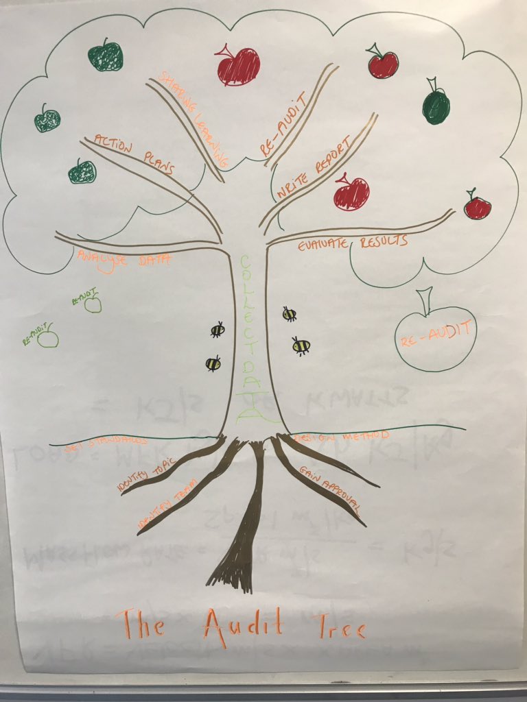 #clinicalaudit drawing 1: the audit tree 🌳 All successful audits need strong roots and and a core of quality data. Audit results, action plans and reports need to branch out   and get the messages across. The falling 🍎 🍏 commence the re-audit   #thefruitsofourauditlabour