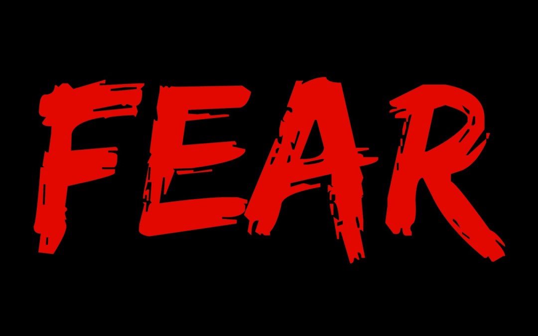 EntrepreneurBlu's tweet photo. What are you afraid of? 🤔

Fear of failure, rejection, judgement of others, or even success! 🤯

It can be PARALYZING! 😫

Good news: you can CHANGE! 💥

Discipline weighs ounces, regret weighs TONS! 🧱🧱🧱

Take action, TODAY!! 🔥😤📊✅

#transformationtuesday #TuesdayThoughts https://t.co/BwgfQ0grkC