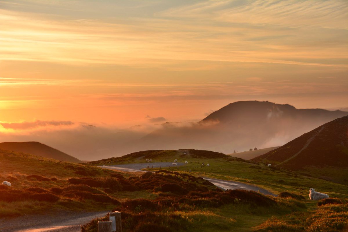 vshropshire's tweet photo. Why not visit beautiful #Shropshire this #Easter? You will find Amazing Attractions, Fantastic Events and Wonderful Accommodation on our Virtual Shropshire Guide at https://t.co/HkQUfTnpxJ #visitshropshire https://t.co/CqE6MsUFST