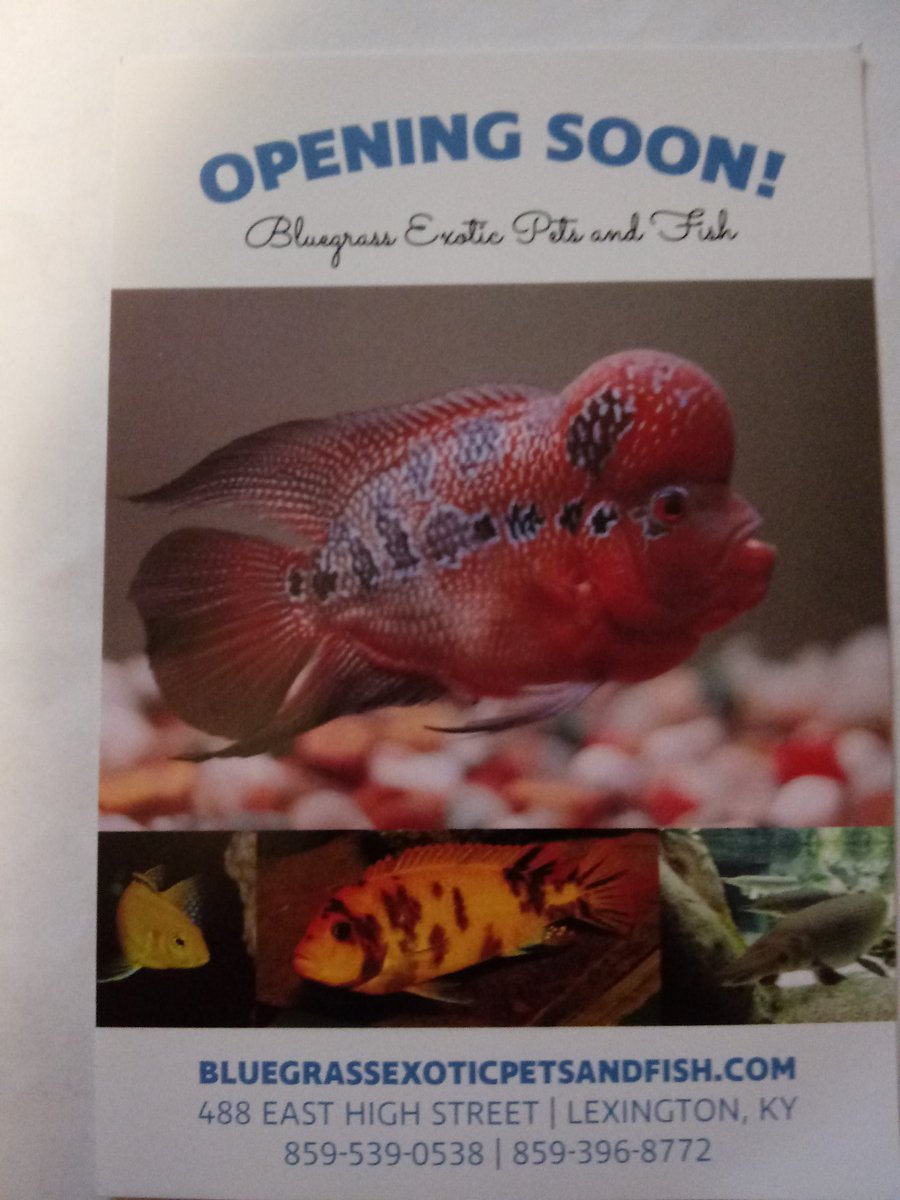 BluegrassFish tweet picture