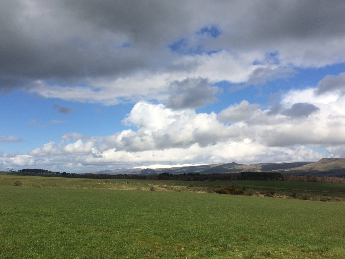 ClarenceCottage's tweet photo. Just a touch of snow in the #edenvalley today. Enjoy the great outdoors... https://t.co/19SjsirRsx