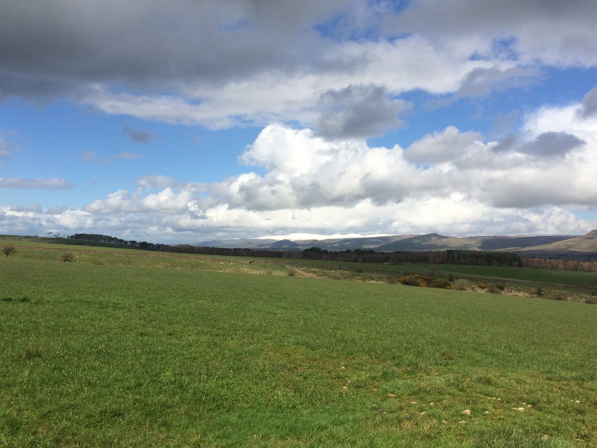 ClarenceCottage's tweet photo. Just a touch of snow in the #edenvalley today. Enjoy the great outdoors... https://t.co/19SjsirRsx