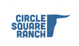 KiwanisHamiltON's tweet photo. Looking for #adventures? Check out Circle Square #SummerCamp. #Horses 
Details at https://t.co/XGWKLcYPCF  #GrandRiver #Brantford #outdoor #skills #students #campers #camp @kiwanisbrant #youth #teens #kids @circlesquareGR https://t.co/dc1xENhUSq
