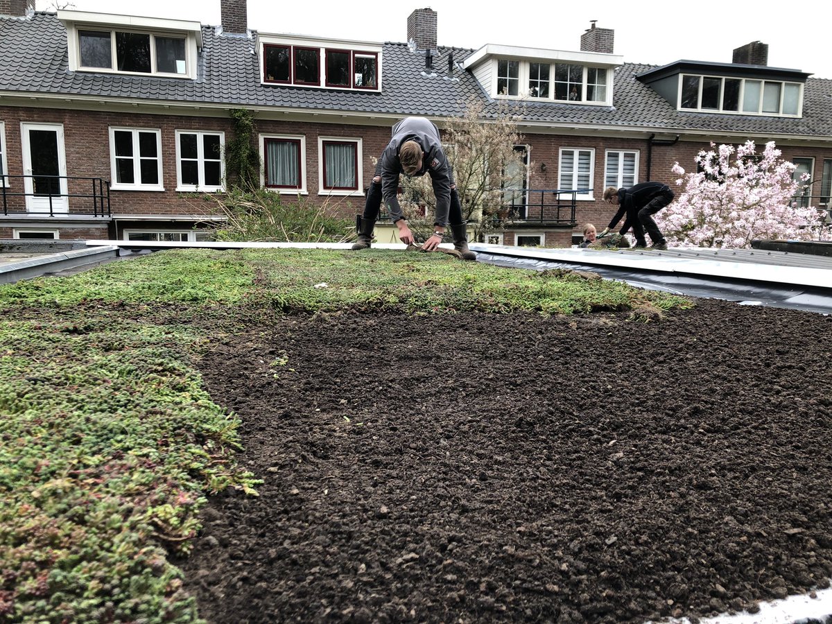 bertroete's tweet photo. Leerlingen @AeresVelp doen hun examen groene daken aanleggen op voorbeelddak van buurtactie @026Groendak #Paasberg #Wellenstein @gemeentearnhem. #praktijkonderwijs mede mogelijk gemaakt door @ArnhemAan @CANinterreg. @ArnhemsKlimaat https://t.co/LQeJaJ6YA6