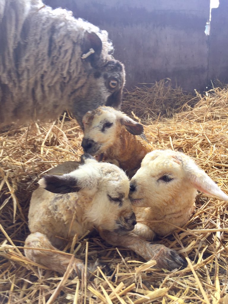 Richard Brown tweet media