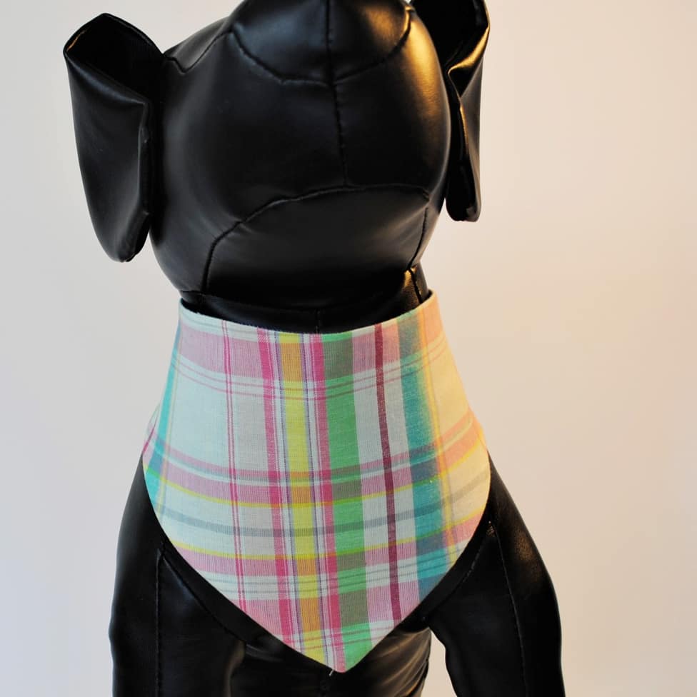 KollarKouture's tweet photo. KollarKouture will have you looking Dapper AF for Spring 
https://t.co/yjda9F0Y5W #handmadeinaustin #dogfashion https://t.co/ytIt4a7XwG