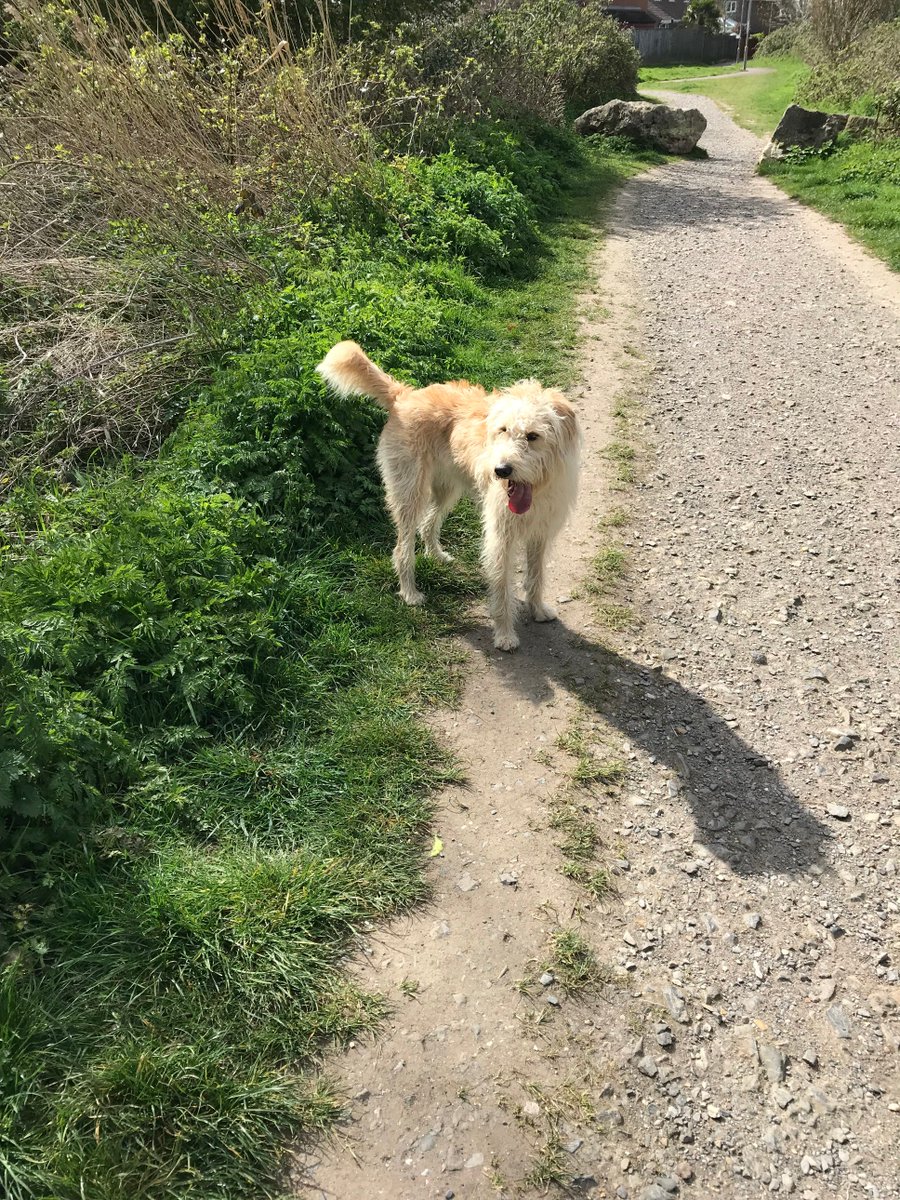 After a morning of spreadsheets, working out how to spend the £40k that the CITB have allocated us for discounted training for our members, it was good to get some fresh air and do the #Middaymile.  #MentalHealthAwareness @ouchtt