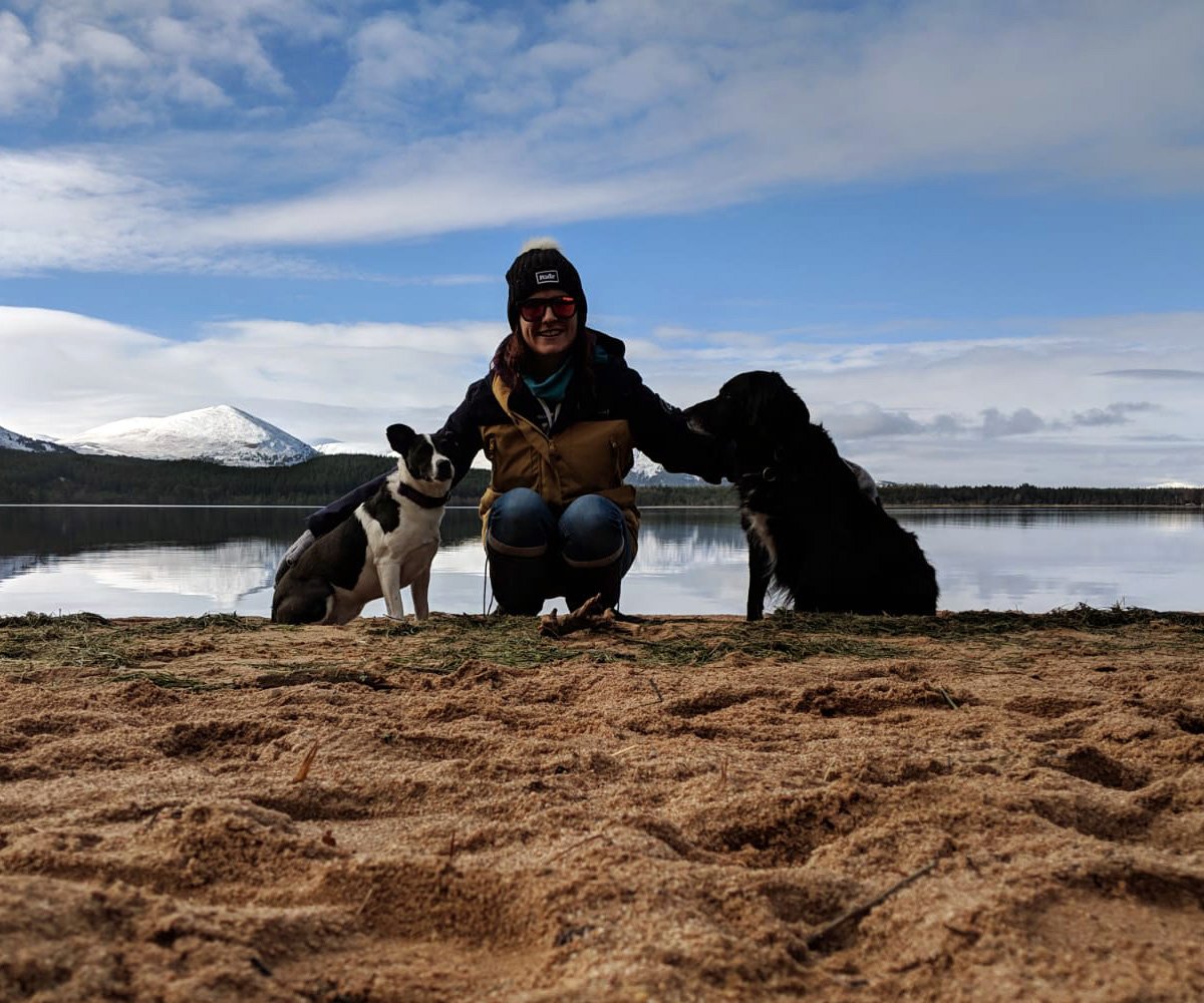 RidrOptics's tweet photo. Ridr pack out on #lochmorlich beach. 
Show us your 4 legged explorers #dogslife #thegreatoutdogs.
----
Design your style @
https://t.co/qFPLWHytN6
----
#sunglasses #beanies #eyewearfashion #customsunglasses #customstyle #pompombeanie #snowboardgear #skigear #cairngormnationalpark https://t.co/nu5vNEXPLc