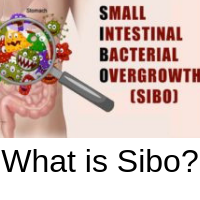 muratbey23's tweet photo. What is Sibo? #sibo #sibocauses #sibodiet #sibomayoclinic #sibosymptoms #sibotest #sibotreatment #whatcausessibo #whatdoessibostandfor #whatisasibodiet #whatisasibotest #whatissibo #whatissibodiet #whatissibodisease #whatissiboinfectionsiborecipes #whatis https://t.co/CvqW8UH3zu https://t.co/LJ8N6ONbQo