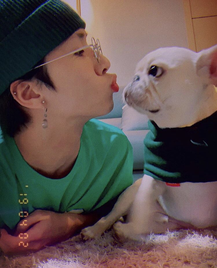 BADAwithRAVI's tweet photo. 20190402 #덩스타그램 
https://t.co/bJgpekAXUo
.
아빠 만난지 2년 됐덩😍

#frenchbulldog #엉덩이 #라비 #김원식 https://t.co/BXNTK9XkPo