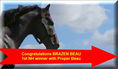 hotbets365's tweet photo. #BrazenBeau @DarleyStallions #WellDone #Congratulations #1stNHWinner #1stRunner https://t.co/beptC7yeWq