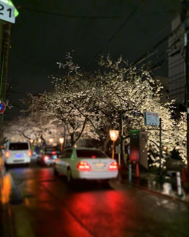 京都祇園の片泊まり 素泊まり宿 Gion Ryokan Twitter 京都祇園の片泊まり 素泊まり宿 Gion Ryokan Twitter