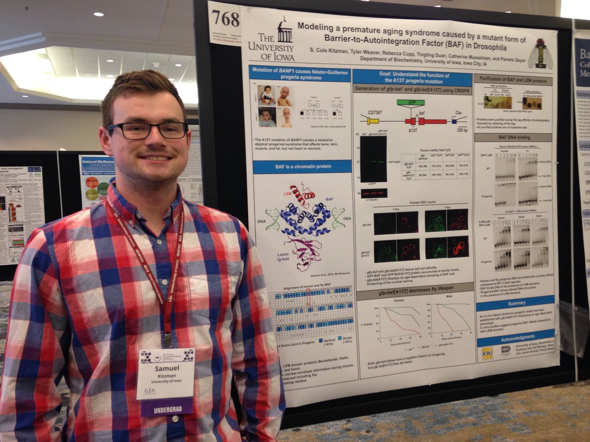 IowaBiochem's tweet photo. Cole Kitzman (Geyer Lab) Recieves Ishan Jain Travel Award and Presents at the 60th Annual Drosophila Research Conference #DROS19 https://t.co/U19J1lOWjw