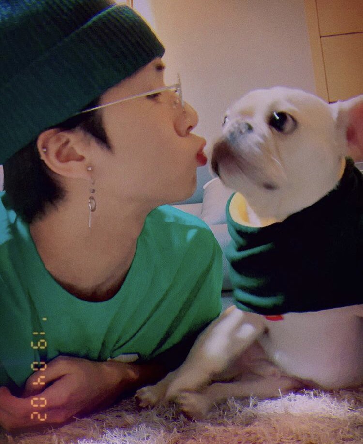 BADAwithRAVI's tweet photo. @AceRavi 20190402 #덩스타그램 
https://t.co/zPgNMtZ379
.
아빠 만난지 2년 됐덩😍

#frenchbulldog #엉덩이 #라비 #김원식 https://t.co/rqxEzznyqQ