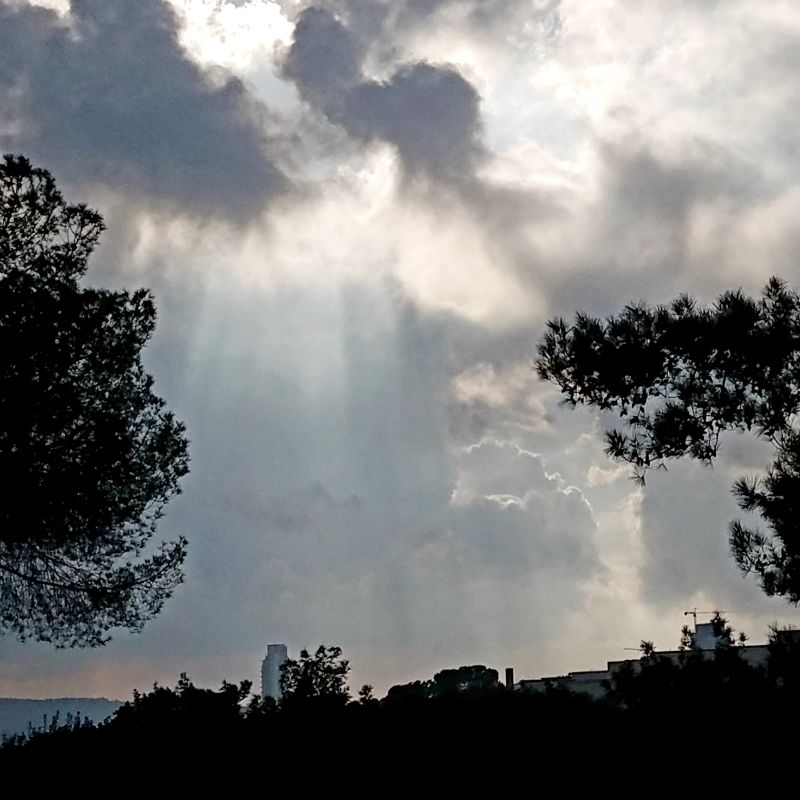 KpiScience's tweet photo. MAKE THE FAMILIAR MORE INTERESTING
Share your views on topics and invite engagement. Your evergreen/core content (the good basic blog &amp; social posts) can highlight interesting details.  We've all seen trees and clouds before. What do these make you think? Please share &amp; comment. https://t.co/GYPuypZDja