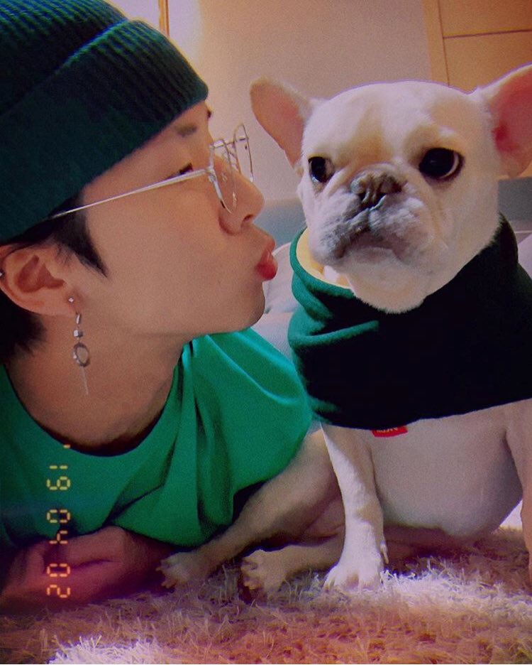 BADAwithRAVI's tweet photo. 20190402 #덩스타그램 
https://t.co/zPgNMtZ379
.
아빠 만난지 2년 됐��😍

#frenchbulldog #엉덩이 #라비 #김원식 https://t.co/RHuCEdnHzb
