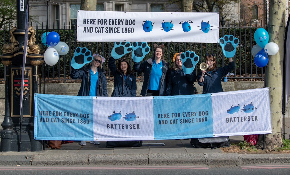 MrRBPhotography's tweet photo. I had the amazing privilege to photograph the #LLHM for @Battersea_  on the 24th of March and It was such an amazing day. The support the Fundraising &amp; Volunteers gave to the runners was next to none! Constant throughout. #Battersea #HereForEveryDogAndCat #London https://t.co/bX3yeOwHHp