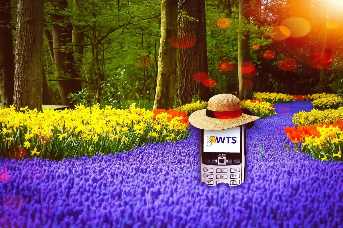 👋 Join us and be one of many businesses that are taking advantage of our amazing merchant rates this spring 🌹 ,along side our low but high quality terminals and EPOS’s. Doesn’t that sound blooming great 💐 

wirelessterminalsolutions.co.uk
0345 459 9984

#WTS #Wirelessterminalsolutions